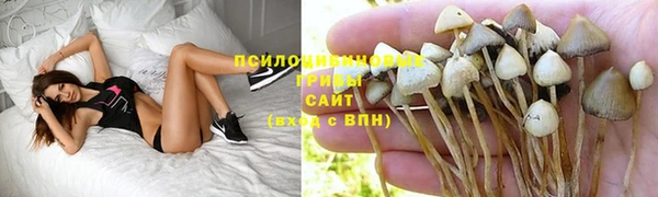 соль курить ск Алексеевка