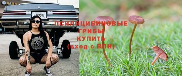 соль курить ск Алексеевка