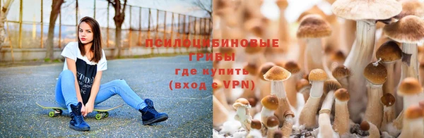 МДПВ Алексин
