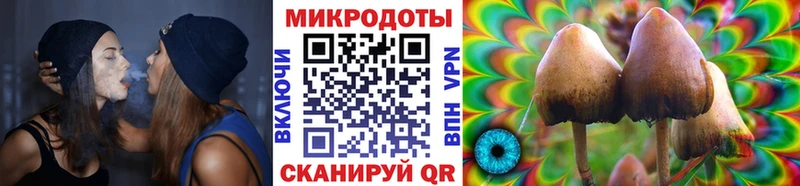 Галлюциногенные грибы мухоморы Чишмы